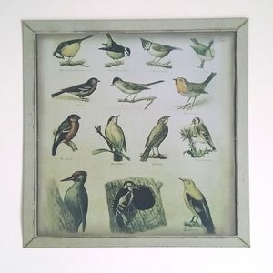 Sweet Bird Themed Metal Sign 8”x 8” (Tinted Art Deco Antique / Aged Green)